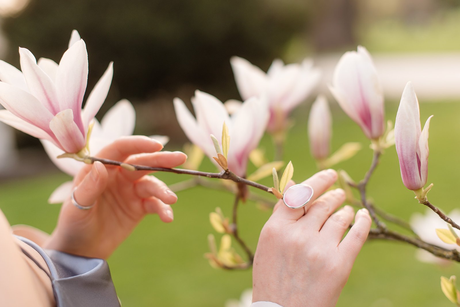 Łazienki Królewskie